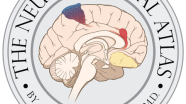 如何正确摆放体位| The Neurosurgical Atlas系列