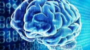 颅底外科学习笔谈（十一）：光荣绽放