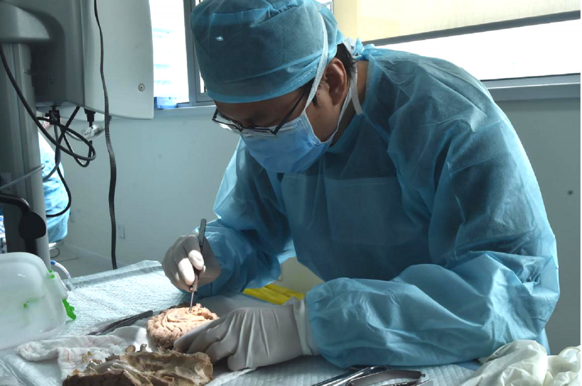 华山医院大脑半球应用显微解剖操作培训班圆满结束附mitchelsberger