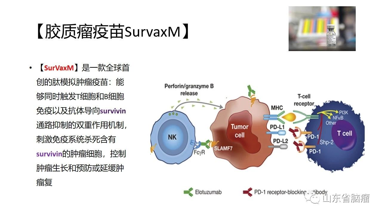 胶质瘤疫苗survaxmsurvivin图解