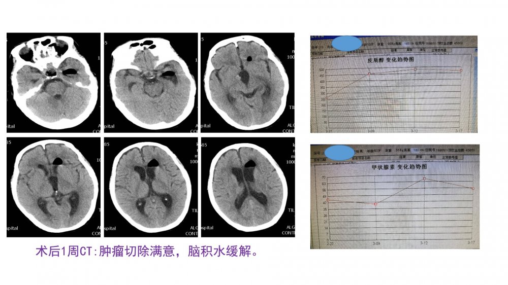 幻灯片9.jpg