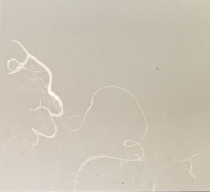 图片13.png