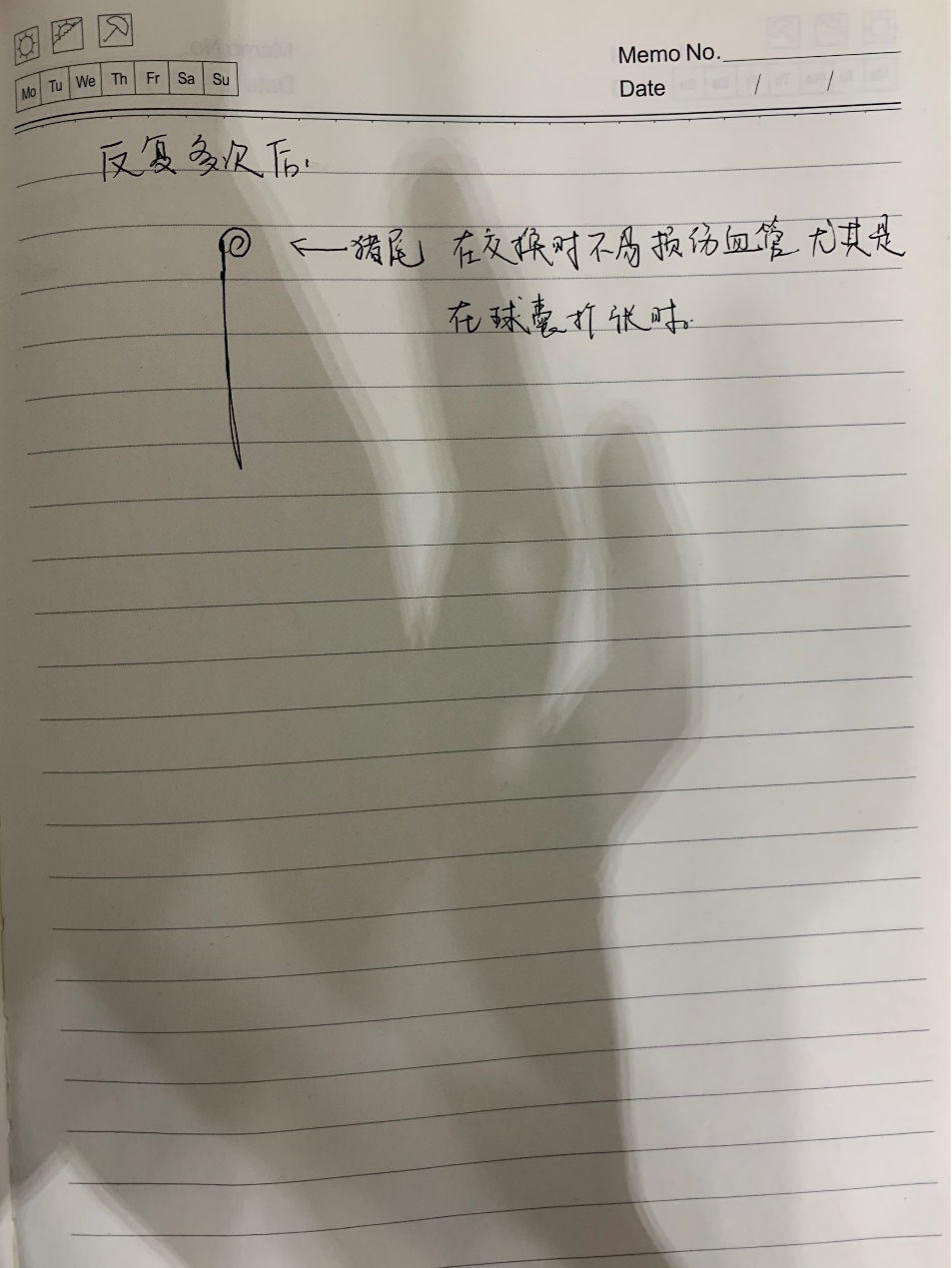 图片26.png