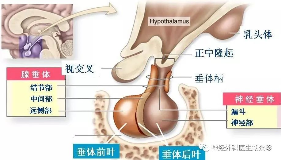 微信图片_20210407172513.png