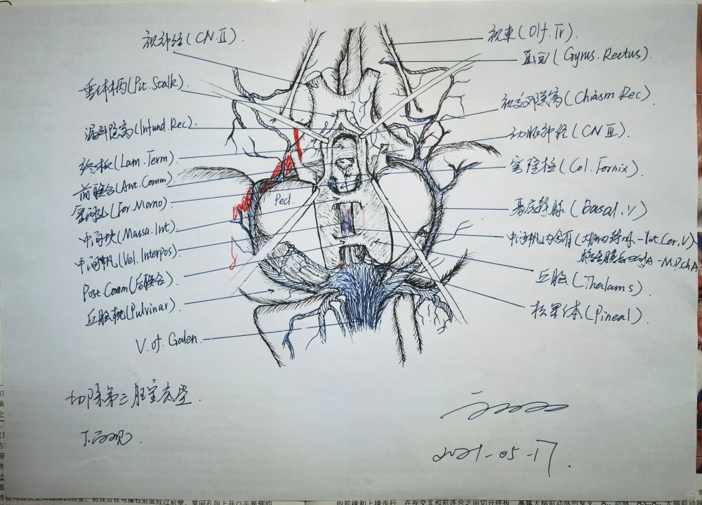张晓泉随笔.jpg