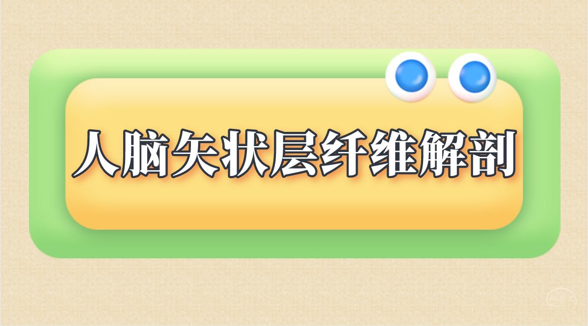 微信截图_20220107145855.png